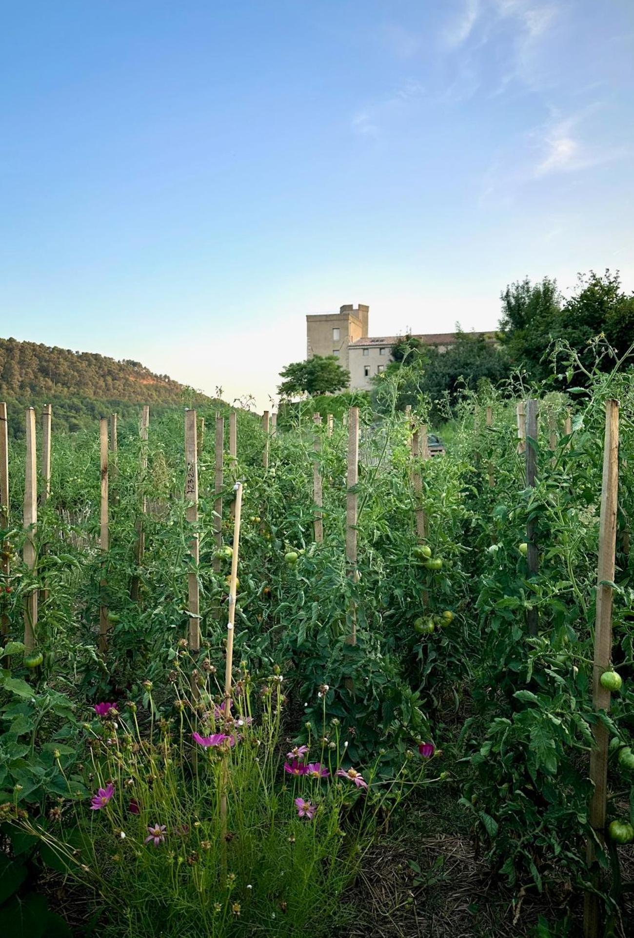 Domaine La Ferme Hi Bride Bed & Breakfast Villelaure Bagian luar foto